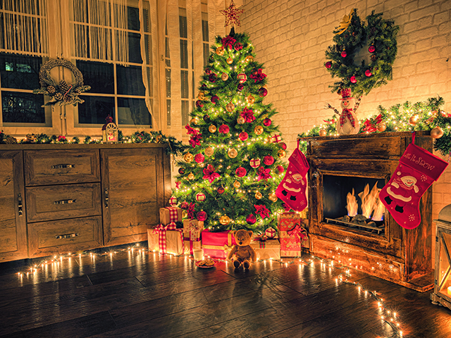 出張ケータリングクリスマスビュッフェパーティープラン #3