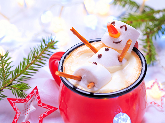 出張ケータリングクリスマスビュッフェパーティープラン #4